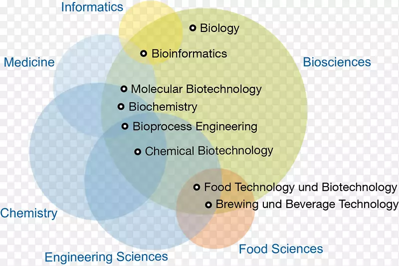 慕尼黑理工大学，学士学位，硕士学位，信息学和数学系，理学士-学士学位