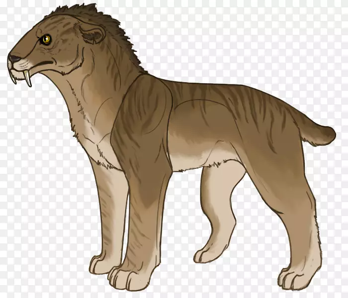 大猫陆生动物美洲狮野生动物-剑齿虎