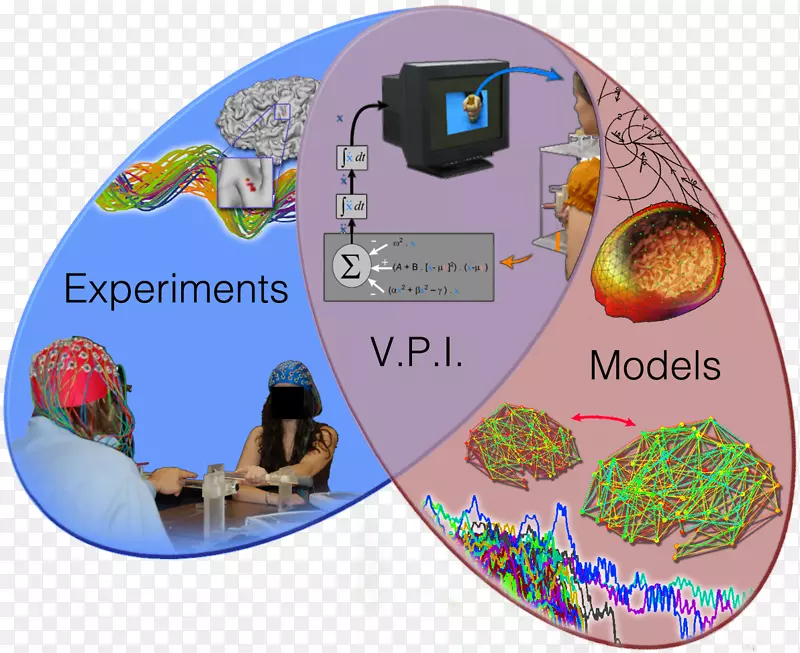 认知研究神经科学行为实验-科学