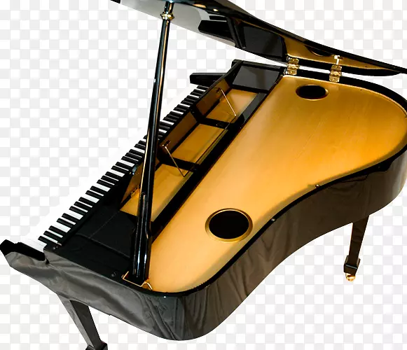 数字钢琴铃木大钢琴Petrof-大钢琴
