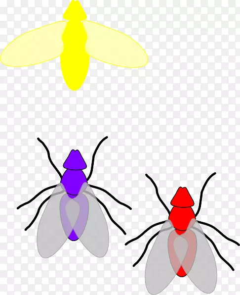 萤火虫夹艺术-萤火虫