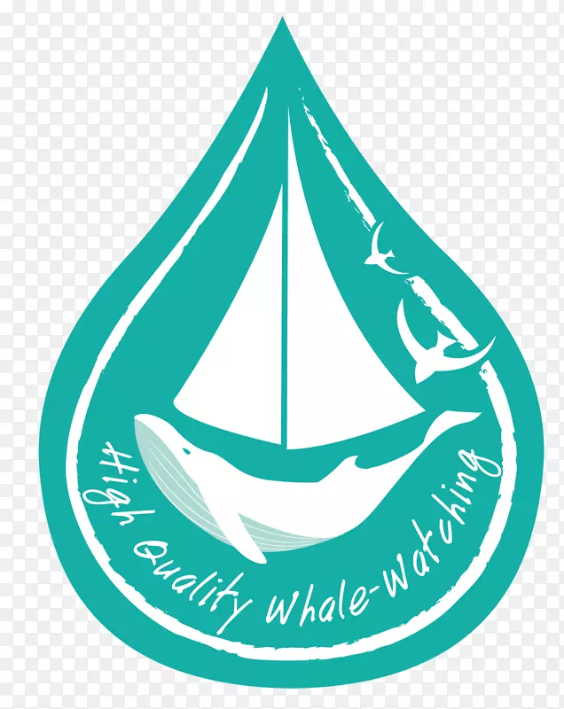 地中海利古里亚海鲸目动物保护区常见的宽吻海豚鲸鱼观察鲸类