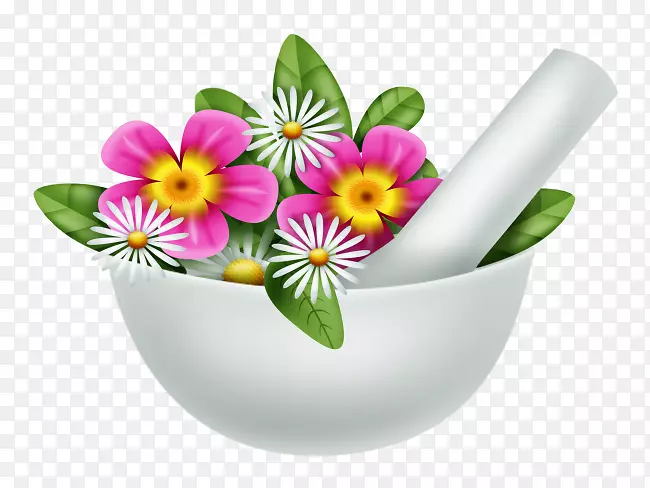 花盆餐具开花植物草本植物-花