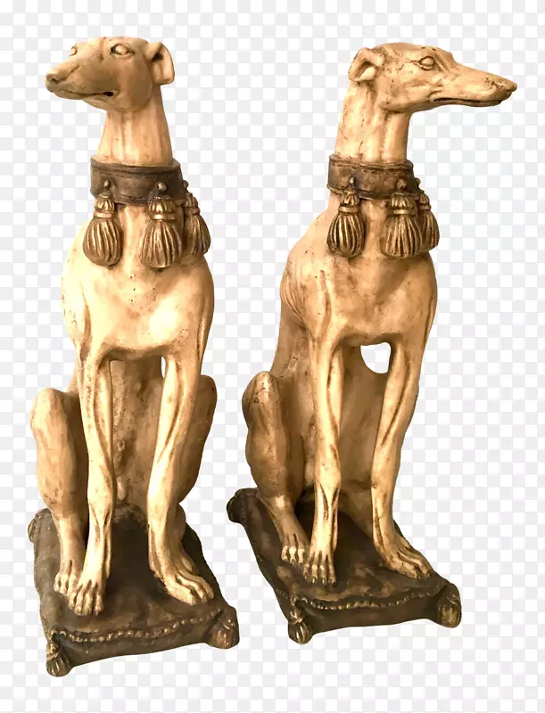 意大利灰狗鞭犬西班牙灰狗品种