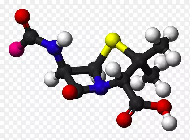 青霉素结合蛋白抗生素药物感染耐药