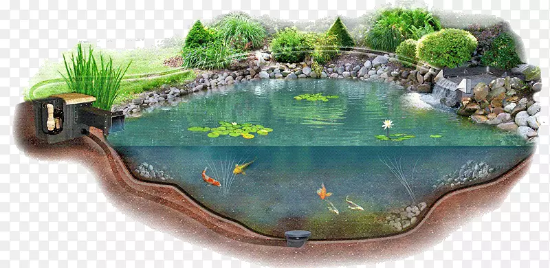 池塘衬垫花园池塘水花园水生植物.池塘水