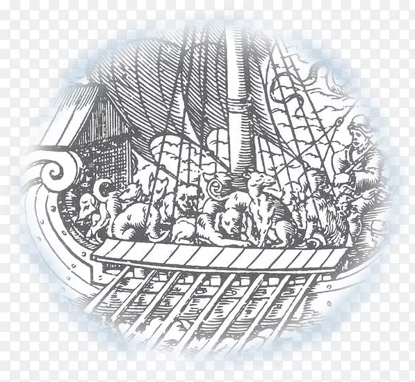 圣帕特里克节海盗船圣帕特里克节