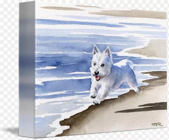 西部高原白狗繁殖画框-绘画