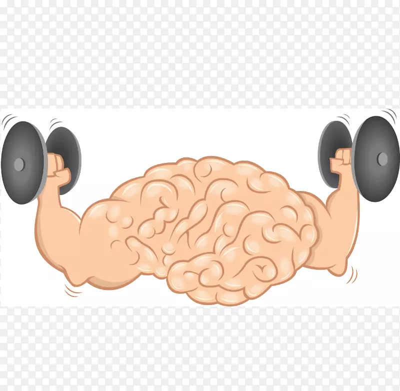 脑AGY肌肉运动体力活动-脑健康