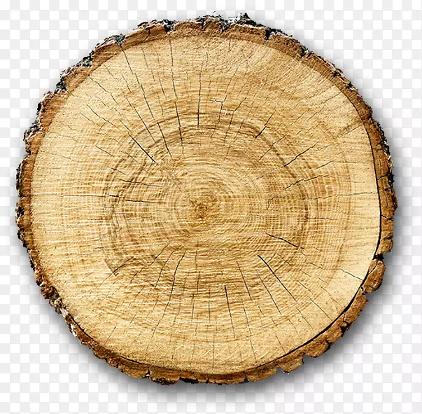 原木摄影木材生物量Fotolia-木材