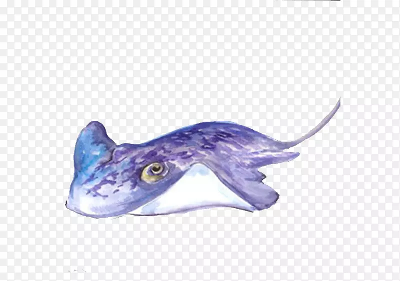 绘画海洋艺术动物海洋绘画