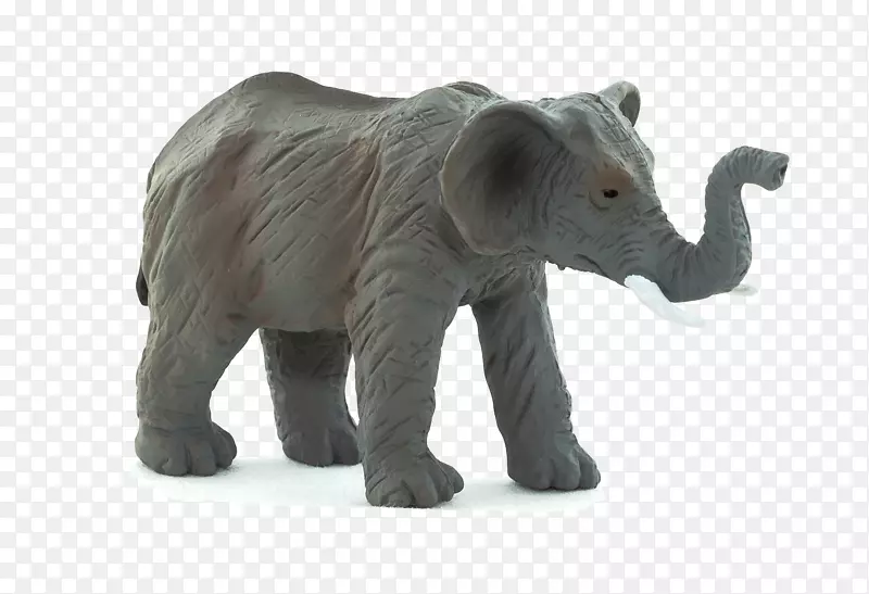亚洲象动物星球小象