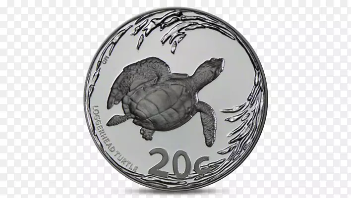 乌龟池塘海龟-20美分硬币