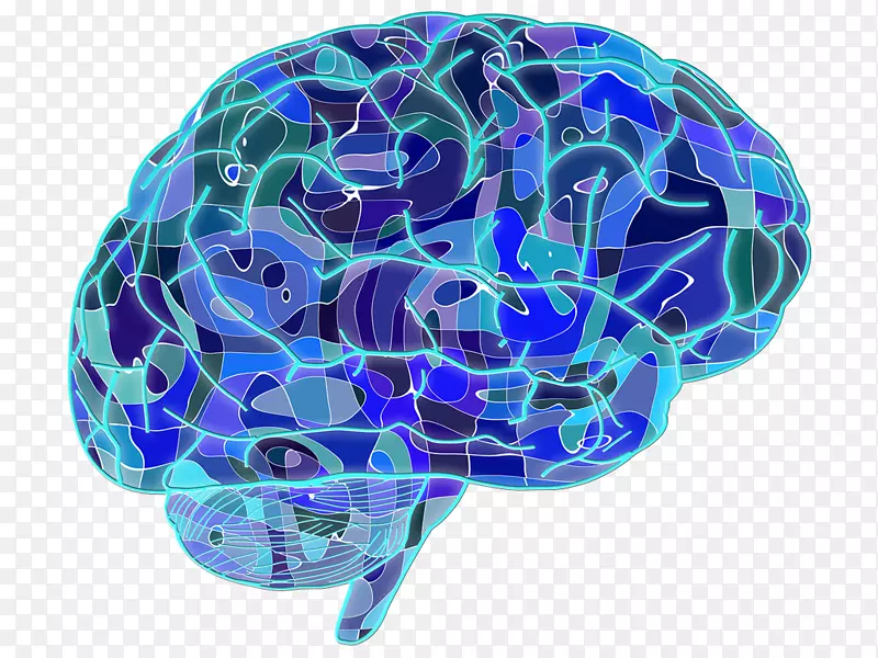 蓝脑计划神经元-人脑神经科学-脑