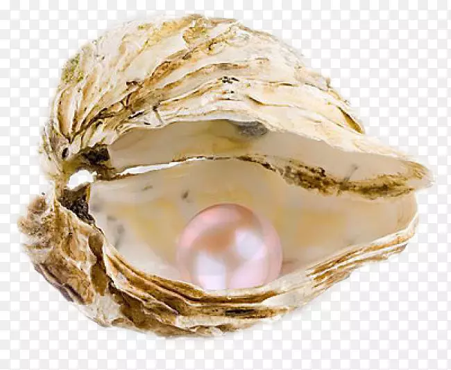 珍珠牡蛎项链