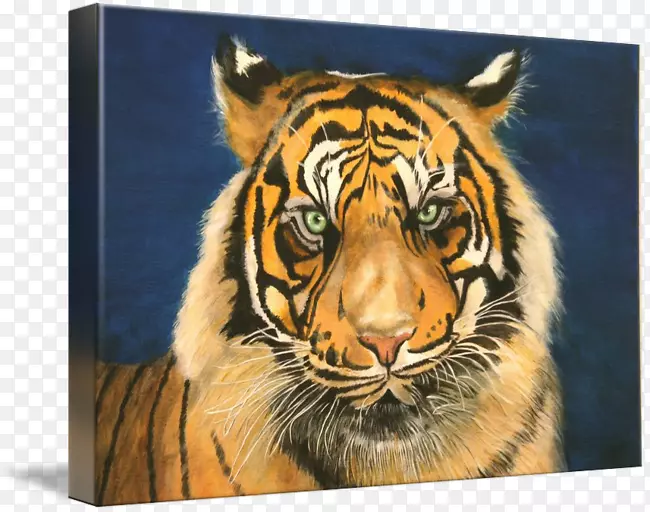 老虎画艺术胡须野生动物-老虎