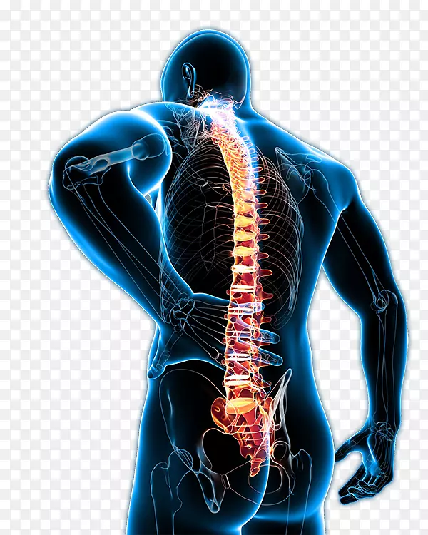 下腰痛管理人类背部疼痛慢性背痛
