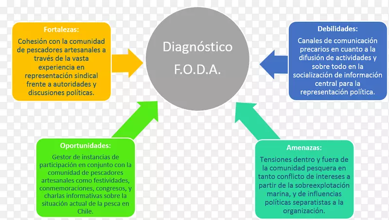 SWOT分析组织诊断学医疗诊断钓鱼-FODA