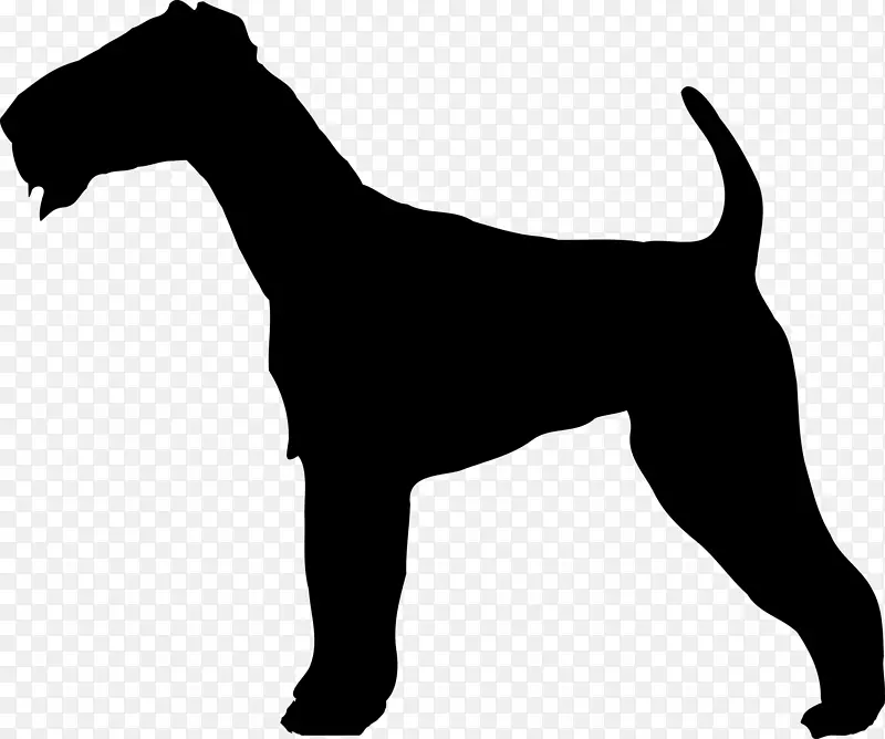爱尔兰猎犬，边境猎犬，约克郡猎犬，威尔士猎犬，杰克罗素猎犬，猎犬轮廓
