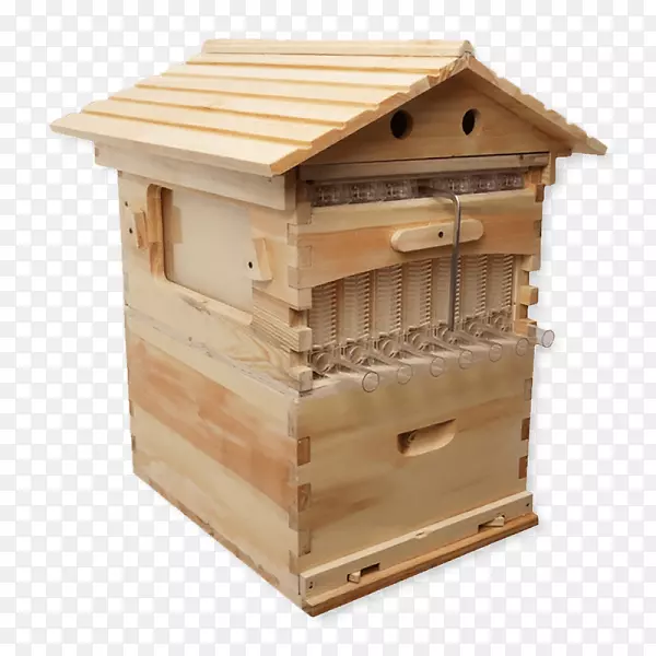 蜂房框架蜂巢蜂房蜂箱