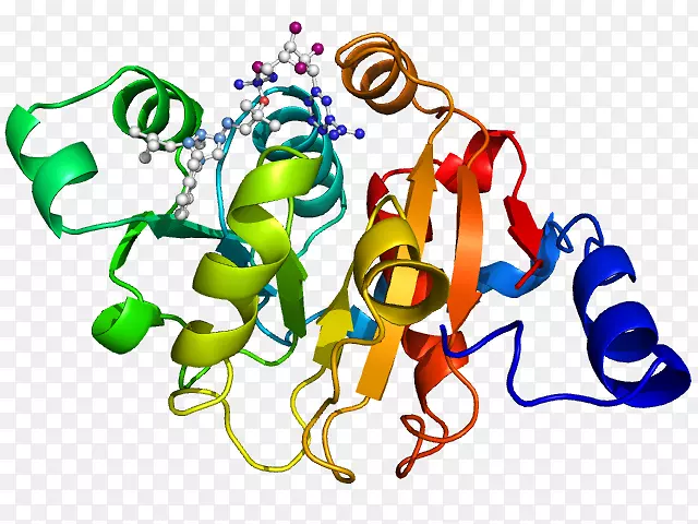 蛋白质基因表达酮基酸还原异构酶剪贴剂