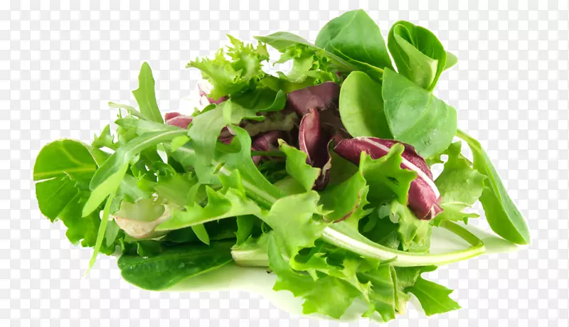 有机食品菠菜色拉叶菜通心粉沙拉