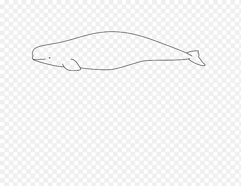 白鲸：白鲸，白鲸