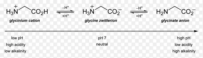 等电点氨基酸甘氨酸丙基肉碱