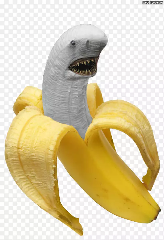 香蕉食品鲨鱼皮吃豌豆