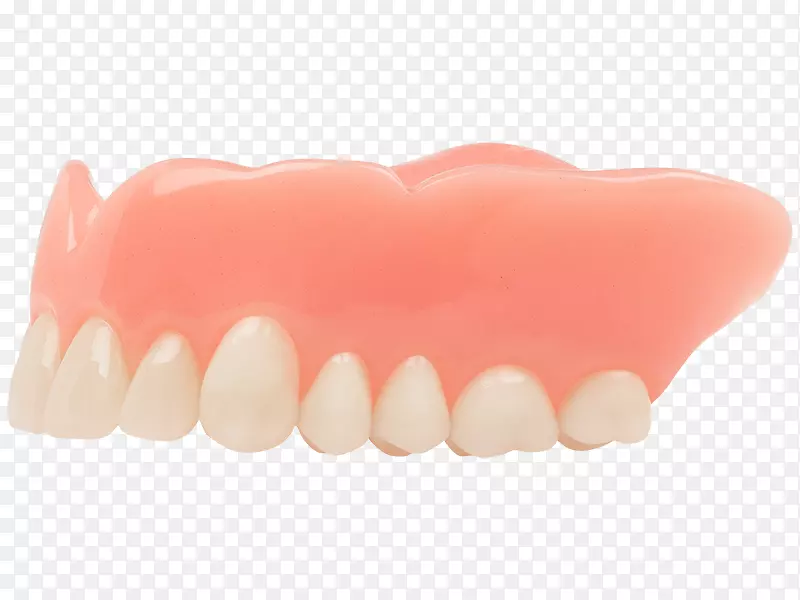 牙齿义齿，牙科，人嘴，杨木，牙本质