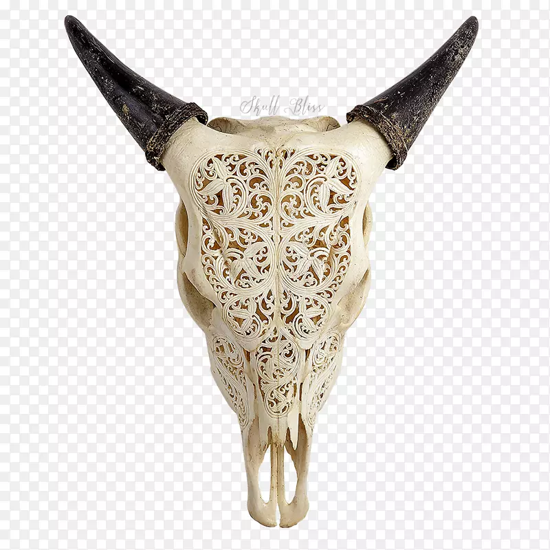 得克萨斯州长角动物头骨-水牛头骨