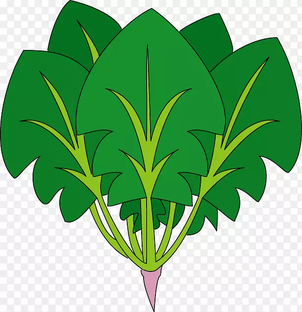 菠菜食品-免费剪贴画-菠菜卡通