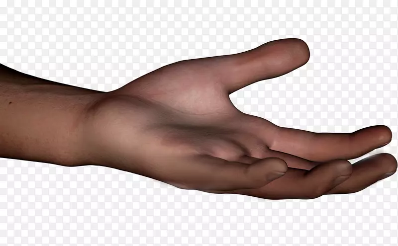拇指手模型人体智人-手
