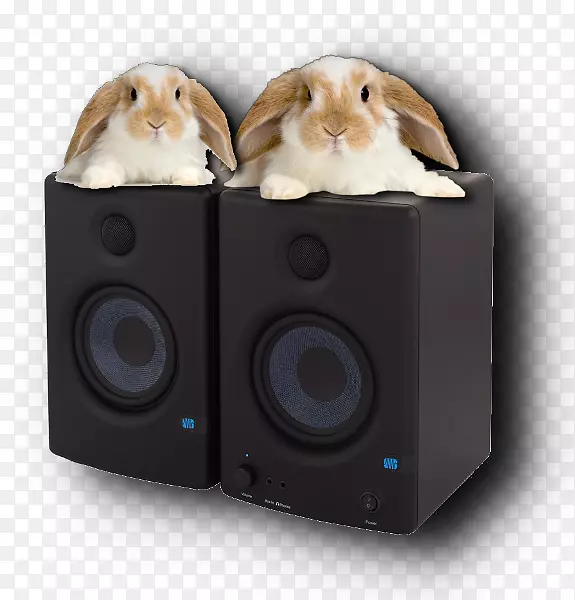 电脑扬声器荷兰低音炮音箱-兔子