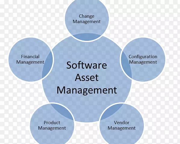 软件资产管理计算机软件组织资产管理