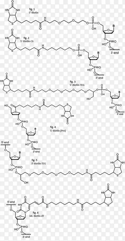 链霉亲和素生物素化寡核苷酸