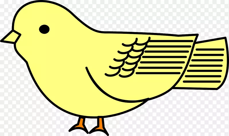 鸟类卡通画夹艺术-鸟