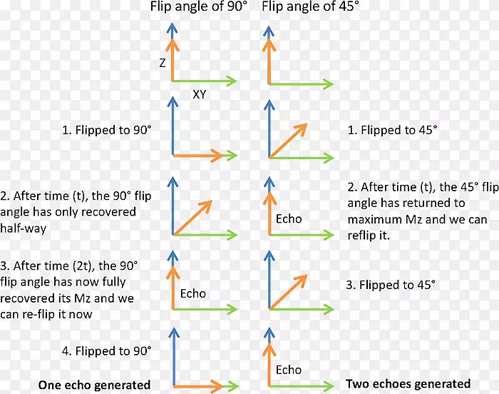 翻转角磁共振成像梯度回波自旋回波核磁共振