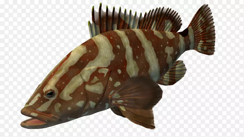 海洋生物动物陆生动物鱼类