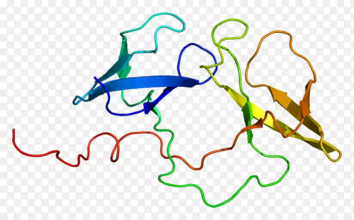 FMR 1蛋白脆性x综合征基因-核酸序列
