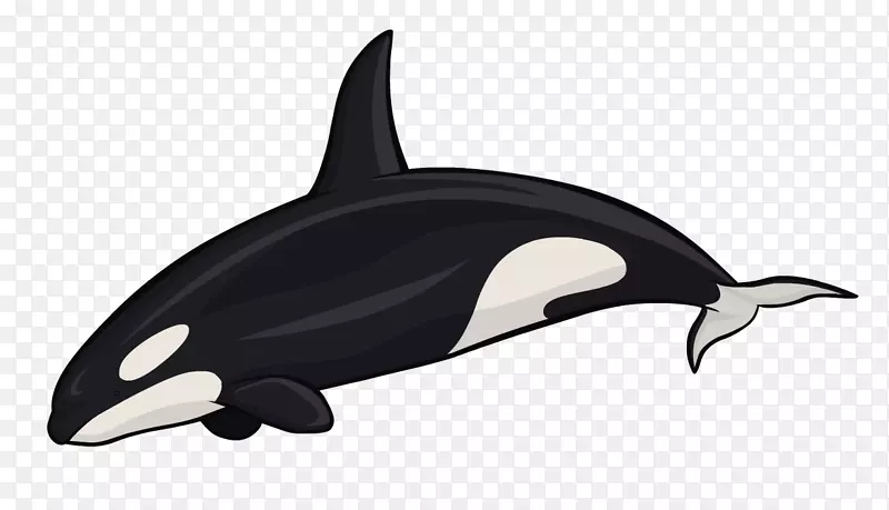 虎鲸，白嘴海豚，水怪，水獭，海豚