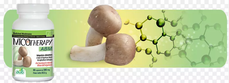 姬松茸药用真菌普通蘑菇
