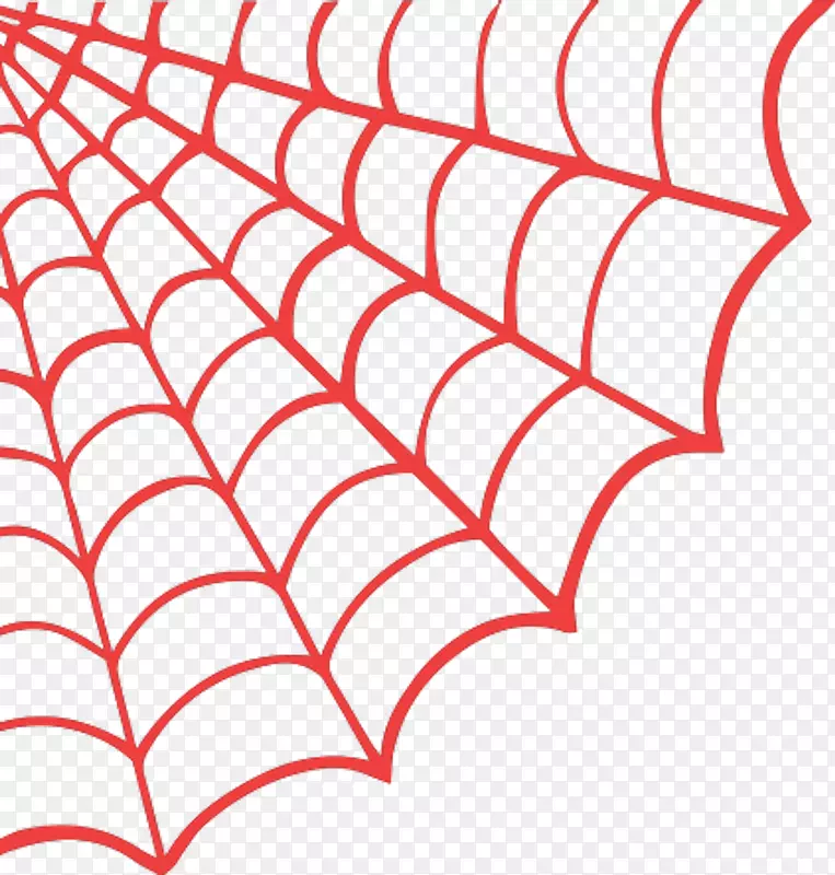 蜘蛛网绘图夹艺术-蜘蛛
