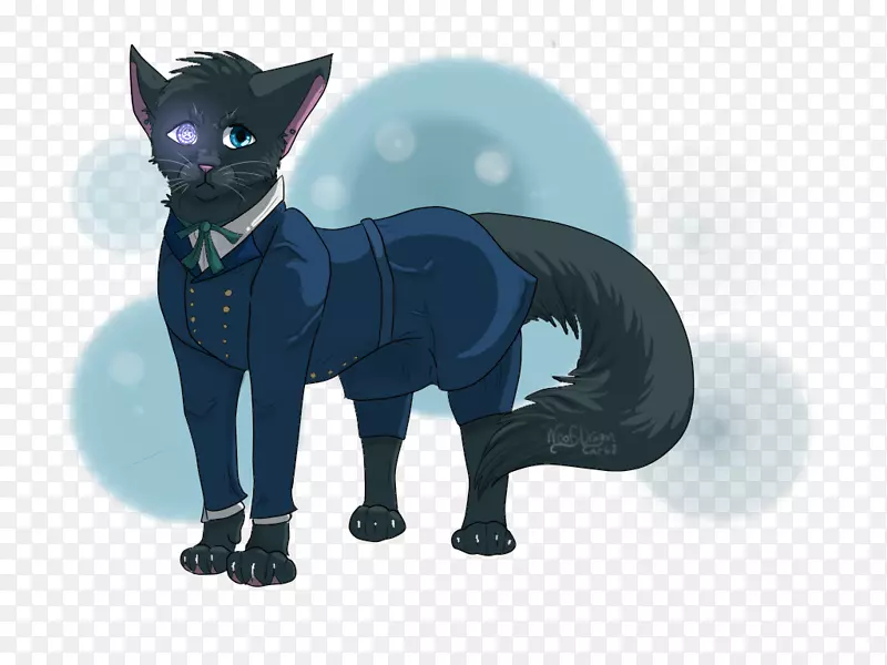 科拉特黑猫雪尔幽灵蜂窝小猫胡须-小猫
