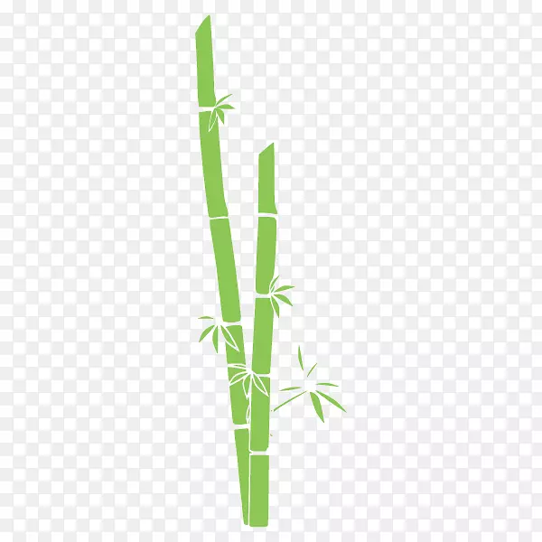 热带木本竹子角字形线