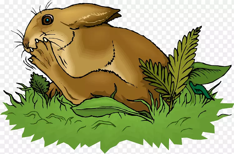 国内兔欧洲兔剪贴画-兔
