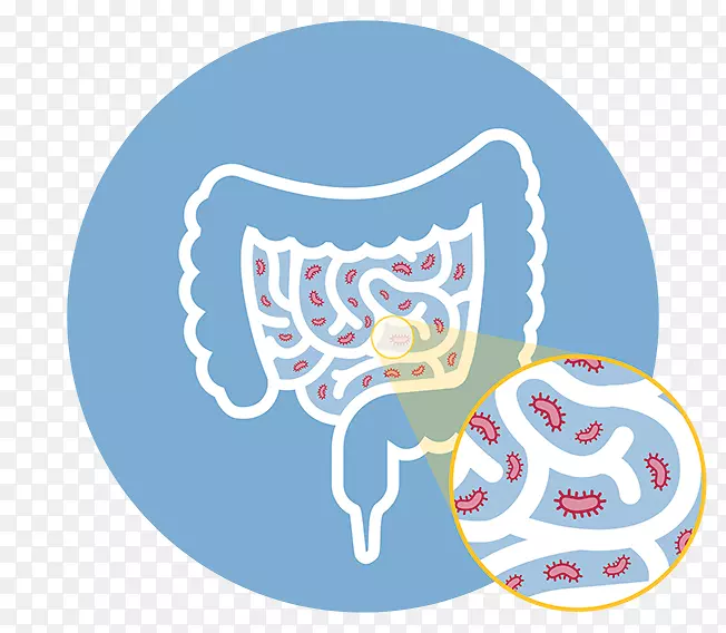 营养饮食-小肠细菌过度生长克罗恩病-小肠细菌过度生长
