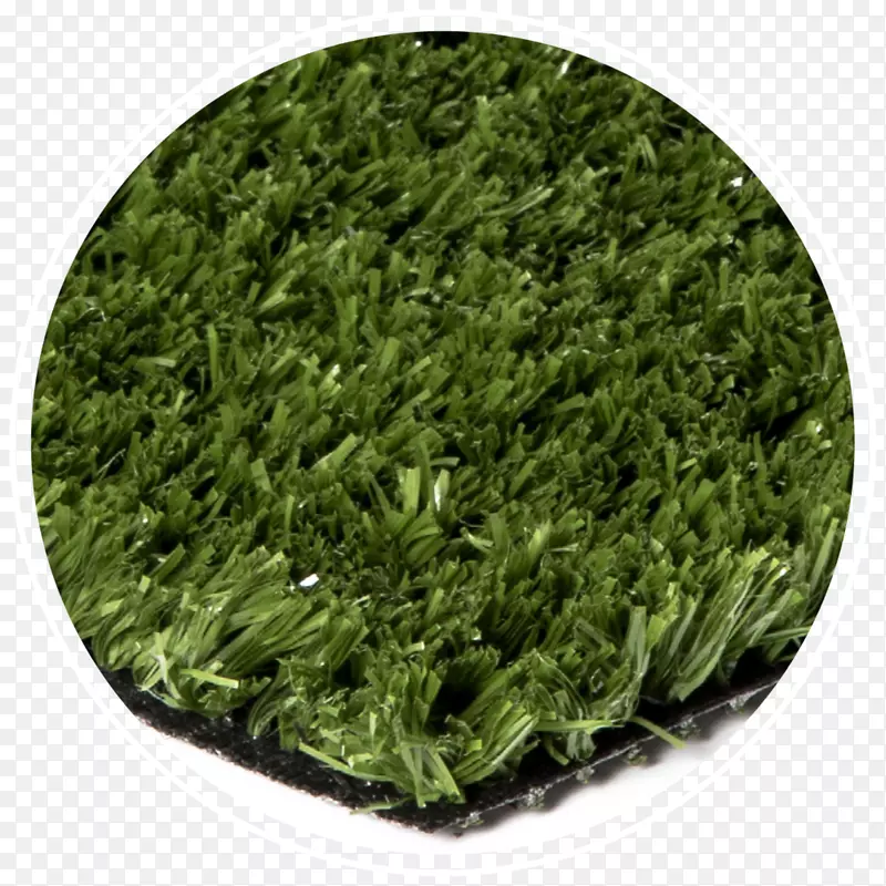 人工草坪管理员您的短游戏草坪弯草合成纤维-人工草坪