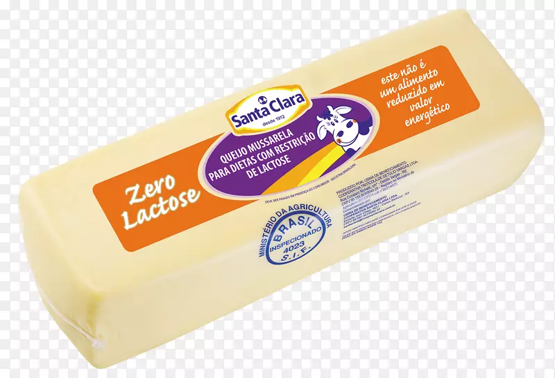 加工过的奶酪粥奶酪牛奶千层面帕玛森-雷吉亚诺-乳糖
