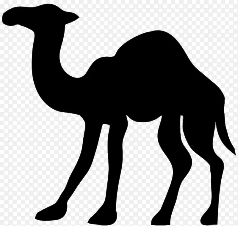骆驼剪影剪贴画-骆驼